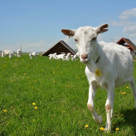 Farma Klinec Villa Dış mekan fotoğraf